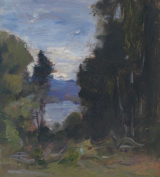 View Through the Trees, Kezar Lake, Lovell, Maine